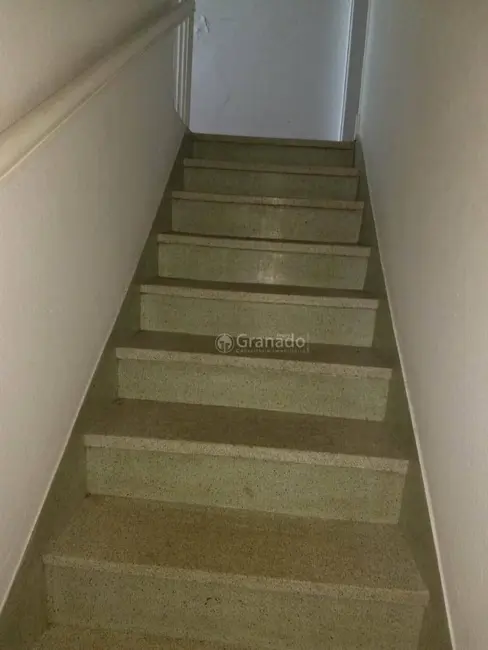 Sobrado com 2 quartos à venda, 135m2 em Vila Paulicéia, São Paulo - SP - imagem 9 Foto 9 de Sobrado com 2 quartos à venda, 135m2 em Vila Paulicéia, São Paulo - SP