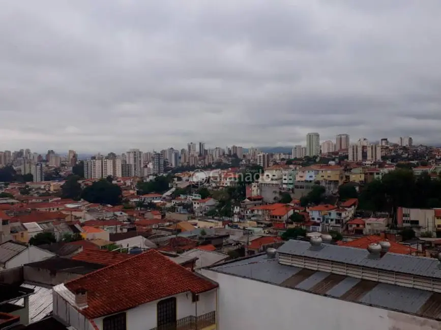 Foto 2 de Sobrado com 3 quartos à venda, 340m2 em Vila Isolina Mazzei, São Paulo - SP