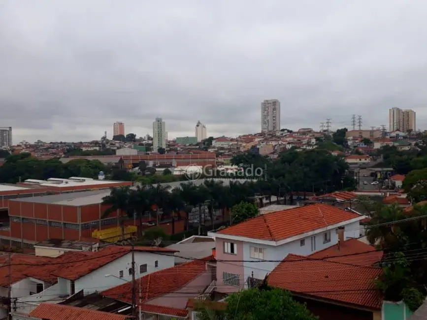 Foto 4 de Sobrado com 3 quartos à venda, 340m2 em Vila Isolina Mazzei, São Paulo - SP