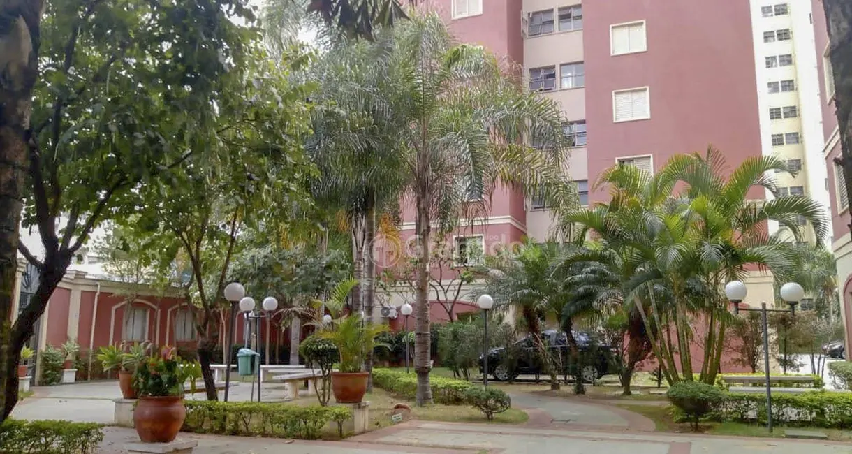 Foto 4 de Apartamento com 3 quartos à venda, 63m2 em Imirim, São Paulo - SP