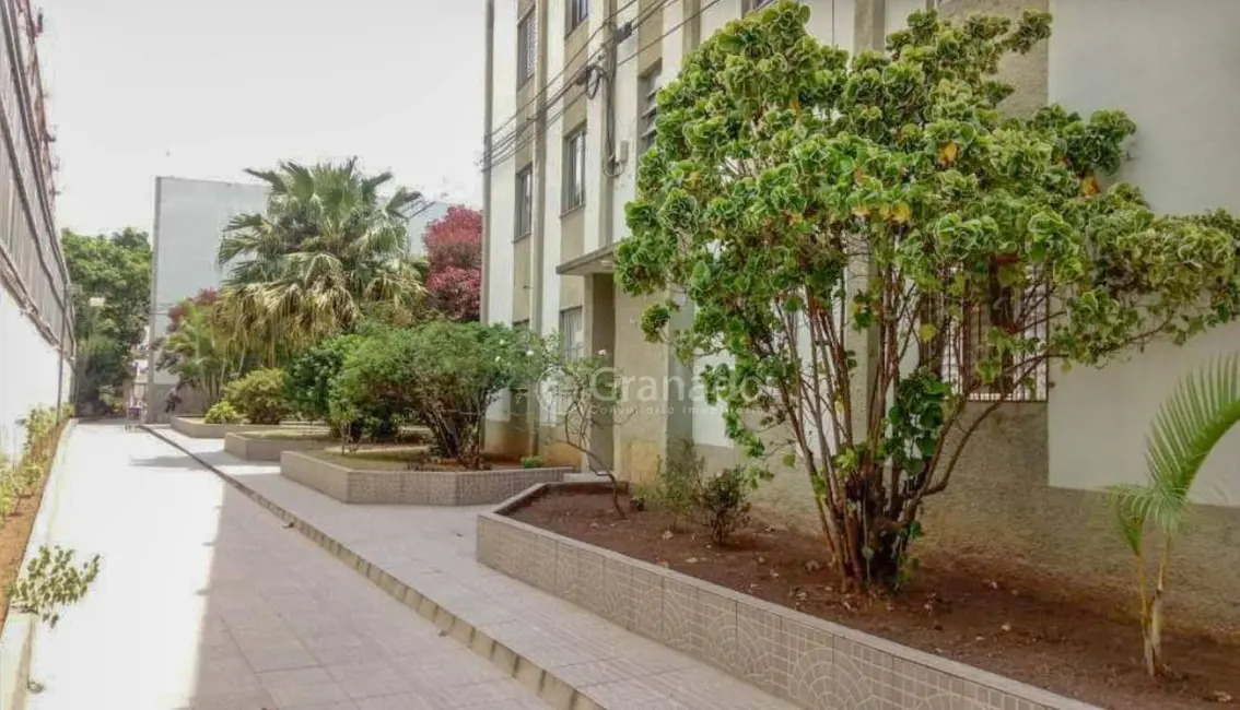 Apartamento com 2 quartos à venda, 60m2 em Vila Guilherme, São Paulo - SP - imagem 3 Foto 3 de Apartamento com 2 quartos à venda, 60m2 em Vila Guilherme, São Paulo - SP