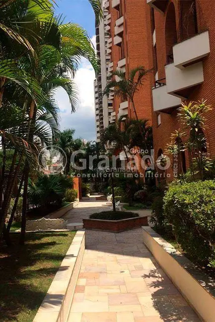 Apartamento com 3 quartos à venda, 147m2 em Vila Gomes Cardim, São Paulo - SP - imagem 9 Foto 9 de Apartamento com 3 quartos à venda, 147m2 em Vila Gomes Cardim, São Paulo - SP