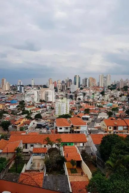 Apartamento com 3 quartos à venda, 94m2 em Vila Aurora, São Paulo - SP - imagem 8 Foto 8 de Apartamento com 3 quartos à venda, 94m2 em Vila Aurora, São Paulo - SP