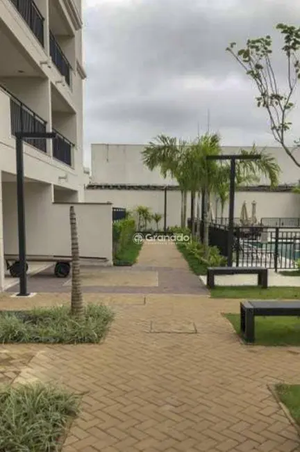 Foto 5 de Apartamento com 3 quartos à venda, 79m2 em Vila Guilherme, São Paulo - SP