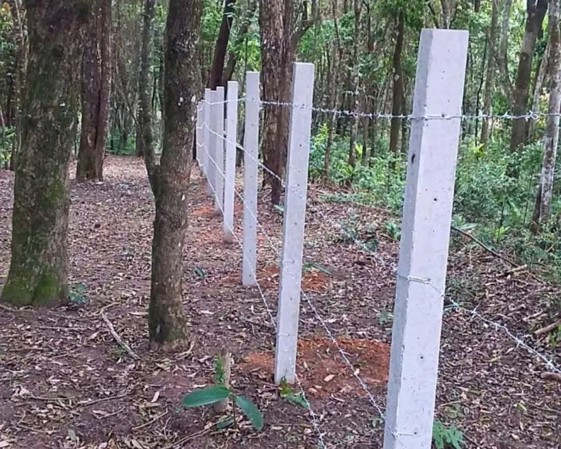 Foto 7 de Terreno / Lote à venda, 6000m2 em Parque Residencial Itapeti, Mogi Das Cruzes - SP