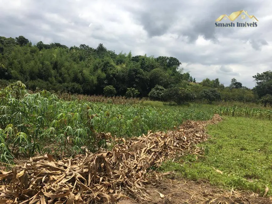 Foto 9 de Sítio / Rancho com 6 quartos à venda, 24610m2 em Do Taboão, Mogi Das Cruzes - SP