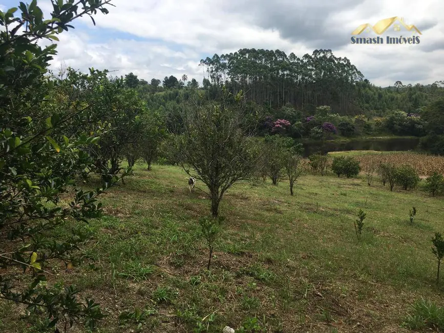 Foto 3 de Sítio / Rancho com 6 quartos à venda, 24610m2 em Do Taboão, Mogi Das Cruzes - SP