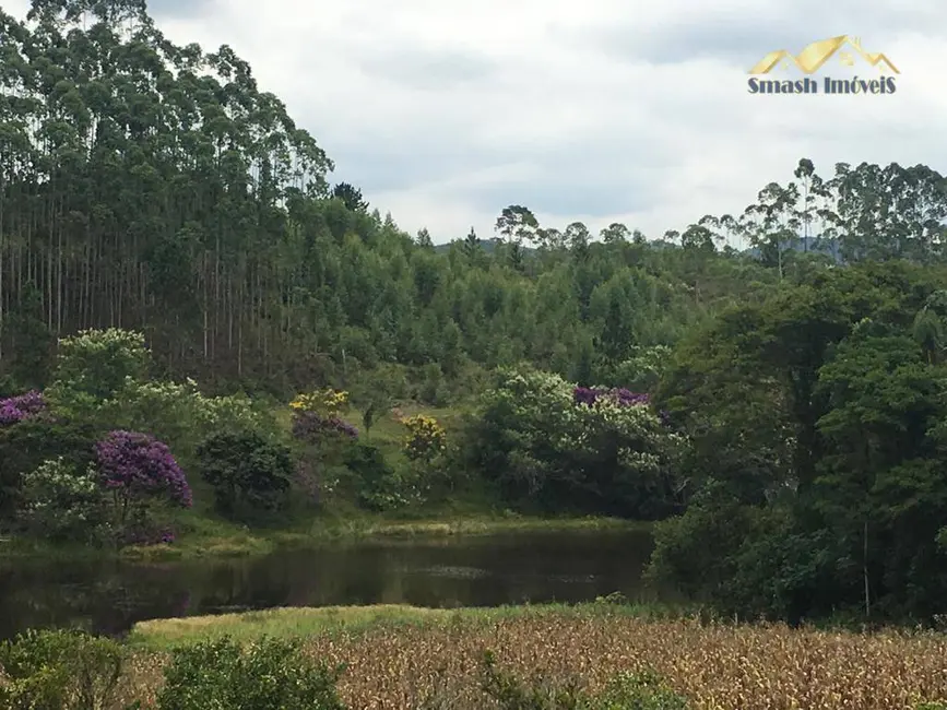 Foto 2 de Sítio / Rancho com 6 quartos à venda, 24610m2 em Do Taboão, Mogi Das Cruzes - SP