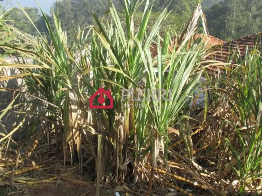 Foto 9 de Casa com 3 quartos à venda, 250m2 em Vila Clarice, São Paulo - SP