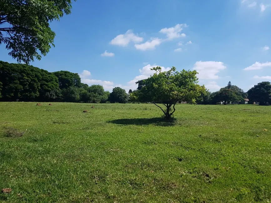 Foto 5 de Terreno / Lote à venda em Parque Yolanda (Nova Veneza), Sumare - SP