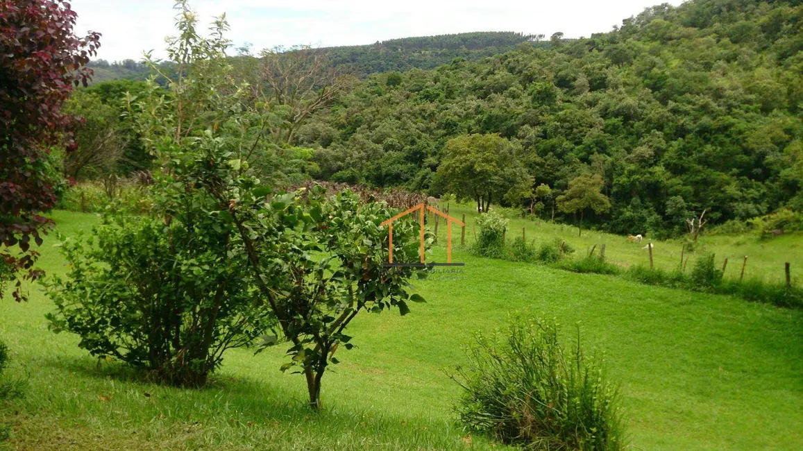 Foto 3 de Sítio / Rancho com 3 quartos à venda e para alugar, 24000m2 em Itu - SP