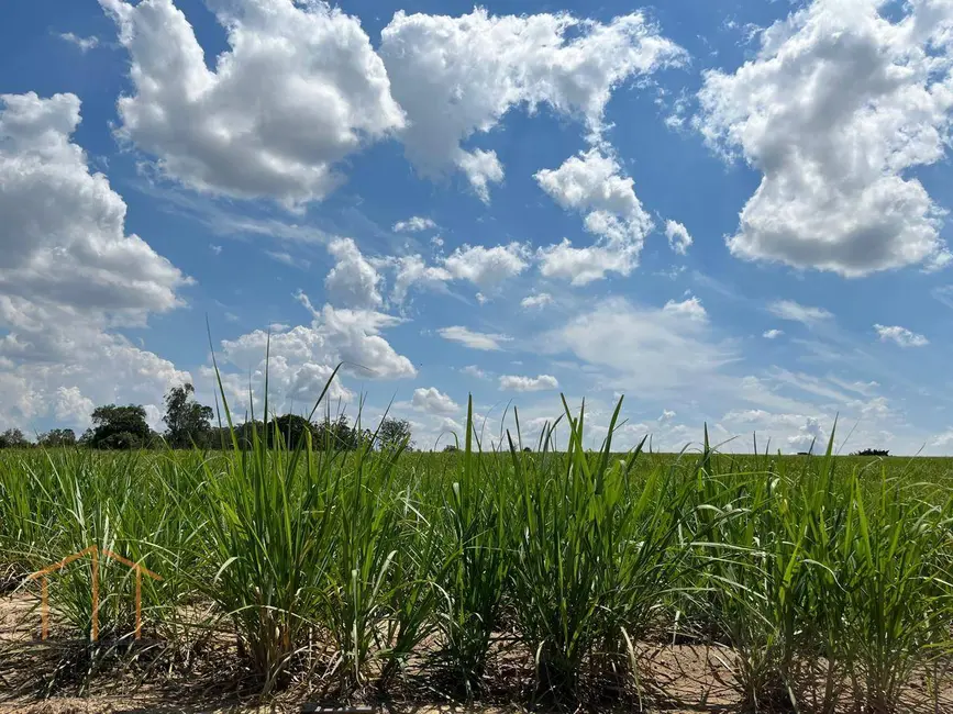 Foto 1 de Sala Comercial para alugar, 104m2 em Porto Feliz - SP