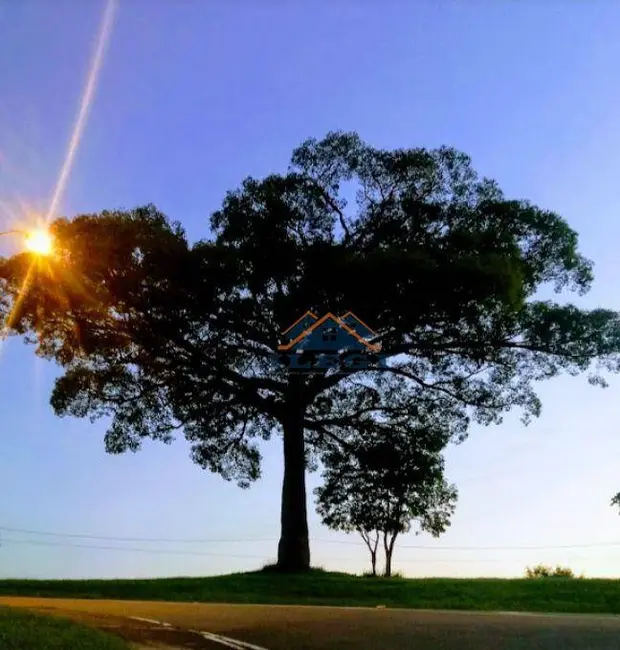 Casa de Condomínio com 3 quartos à venda, 320m2 em Pinheiro, Valinhos - SP - imagem 8 Foto 8 de Casa de Condomínio com 3 quartos à venda, 320m2 em Pinheiro, Valinhos - SP