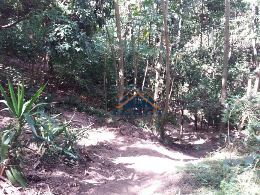 Foto 6 de Chácara com 4 quartos à venda, 10000m2 em Valinhos - SP