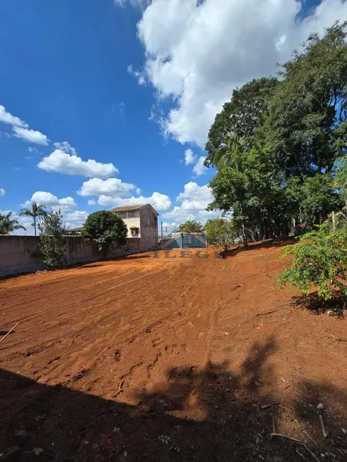 Chácara com 1 quarto à venda, 832m2 em Chácaras Nova Germânia, Campo Limpo Paulista - SP - imagem 8 Foto 8 de Chácara com 1 quarto à venda, 832m2 em Chácaras Nova Germânia, Campo Limpo Paulista - SP