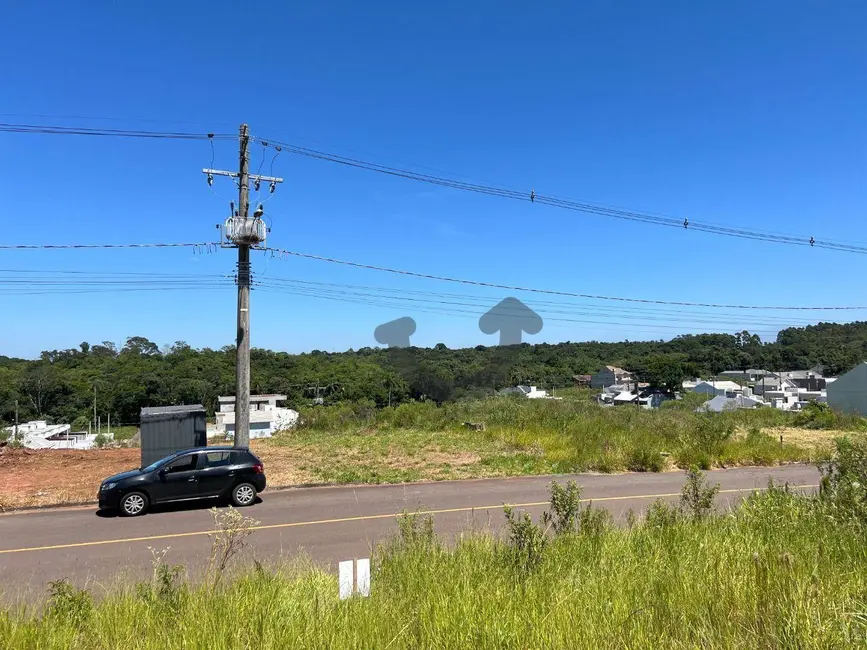 Foto 2 de Terreno / Lote à venda, 337m2 em João Alves, Santa Cruz Do Sul - RS