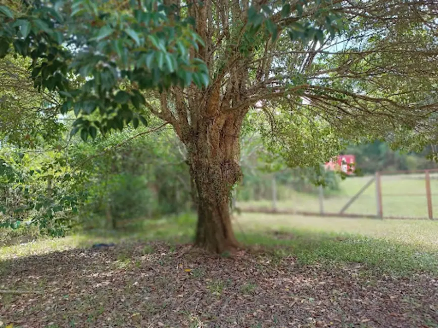 Chácara com 5 quartos à venda, 55000m2 em Santa Cruz Do Sul - RS - imagem 8 Foto 8 de Chácara com 5 quartos à venda, 55000m2 em Santa Cruz Do Sul - RS