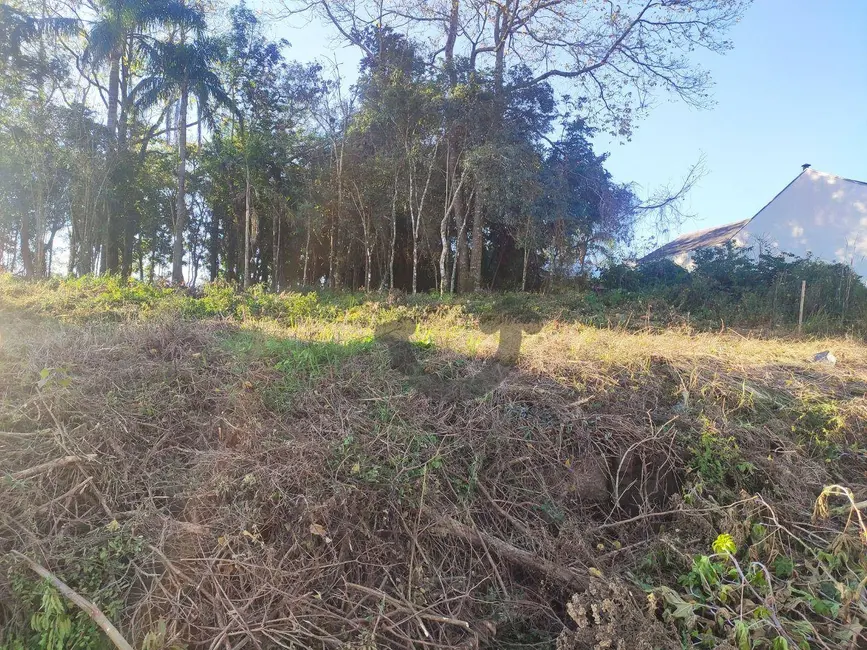 Foto 3 de Terreno / Lote à venda, 330m2 em Linha Santa Cruz, Santa Cruz Do Sul - RS