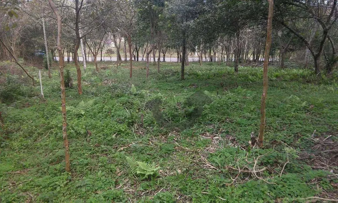 Foto 1 de Terreno / Lote à venda, 6021m2 em Germânia, Santa Cruz Do Sul - RS