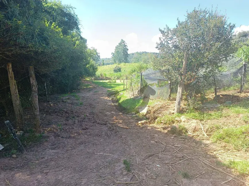 Foto 5 de Chácara à venda, 93102m2 em Linha Santa Cruz, Santa Cruz Do Sul - RS