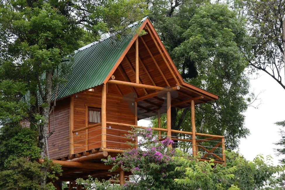 Foto 6 de Casa com 3 quartos à venda, 5151m2 em João Alves, Santa Cruz Do Sul - RS