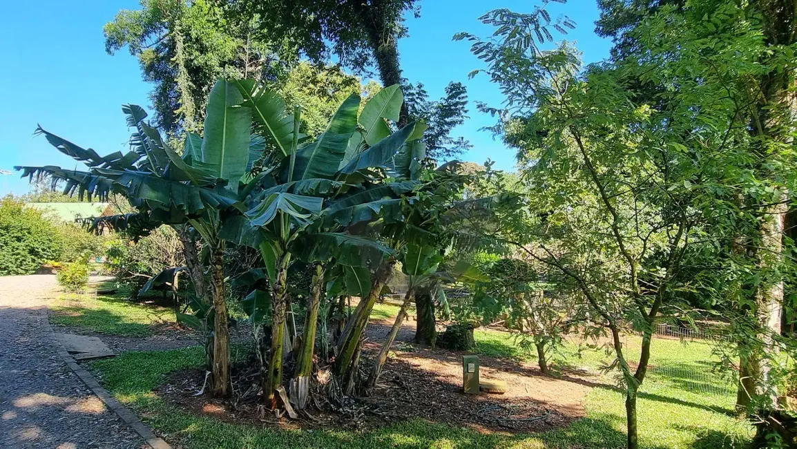 Foto 9 de Casa com 3 quartos à venda, 5151m2 em João Alves, Santa Cruz Do Sul - RS