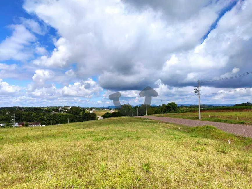 Foto 3 de Terreno / Lote à venda, 300m2 em Linha Santa Cruz, Santa Cruz Do Sul - RS