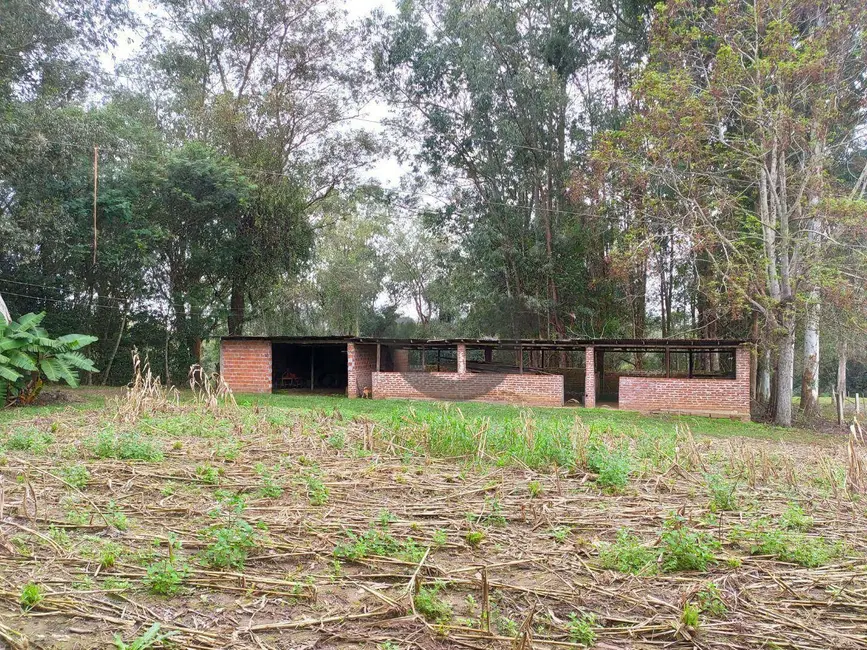 Foto 22 de Chácara com 3 quartos à venda, 75000m2 em Santa Cruz Do Sul - RS