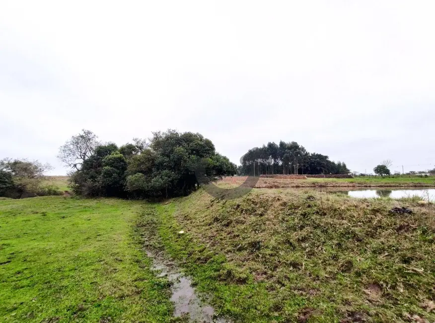 Foto 24 de Chácara com 3 quartos à venda, 75000m2 em Santa Cruz Do Sul - RS