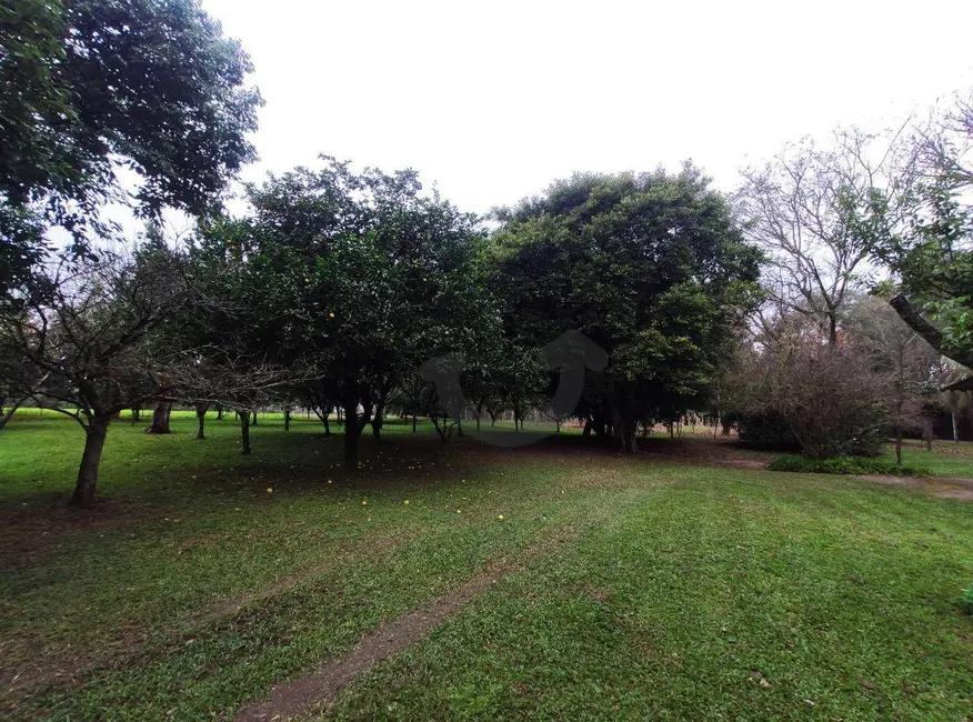 Foto 20 de Chácara com 3 quartos à venda, 75000m2 em Santa Cruz Do Sul - RS