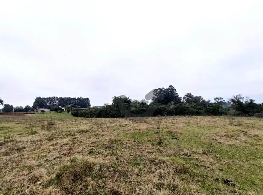 Foto 27 de Chácara com 3 quartos à venda, 75000m2 em Santa Cruz Do Sul - RS