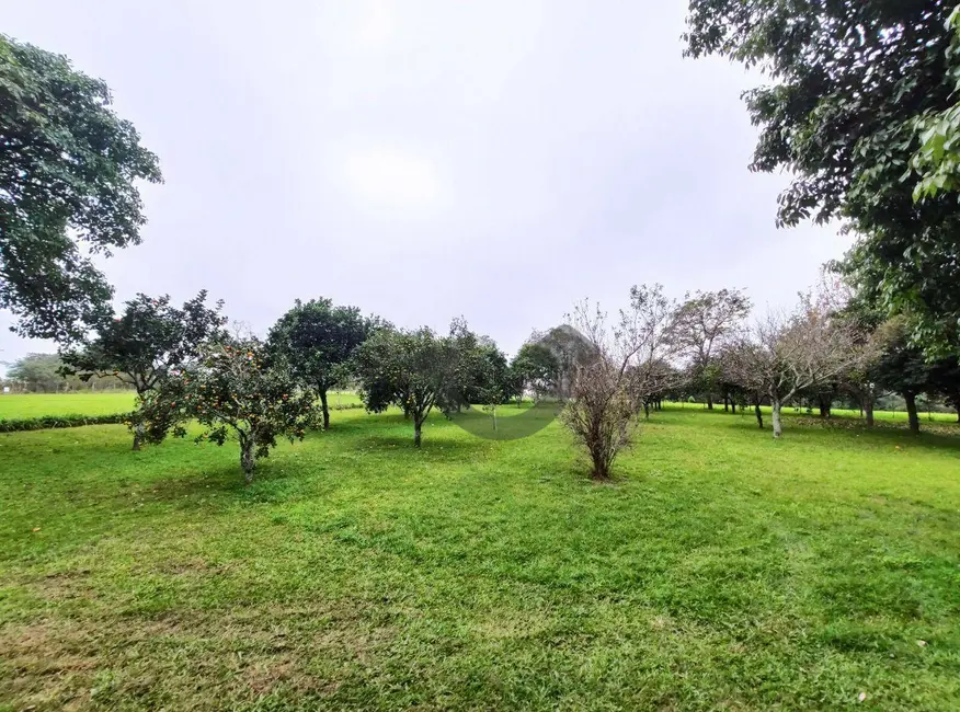 Foto 18 de Chácara com 3 quartos à venda, 75000m2 em Santa Cruz Do Sul - RS