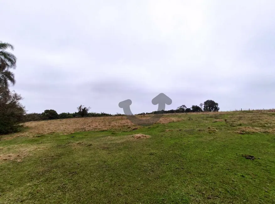 Foto 26 de Chácara com 3 quartos à venda, 75000m2 em Santa Cruz Do Sul - RS