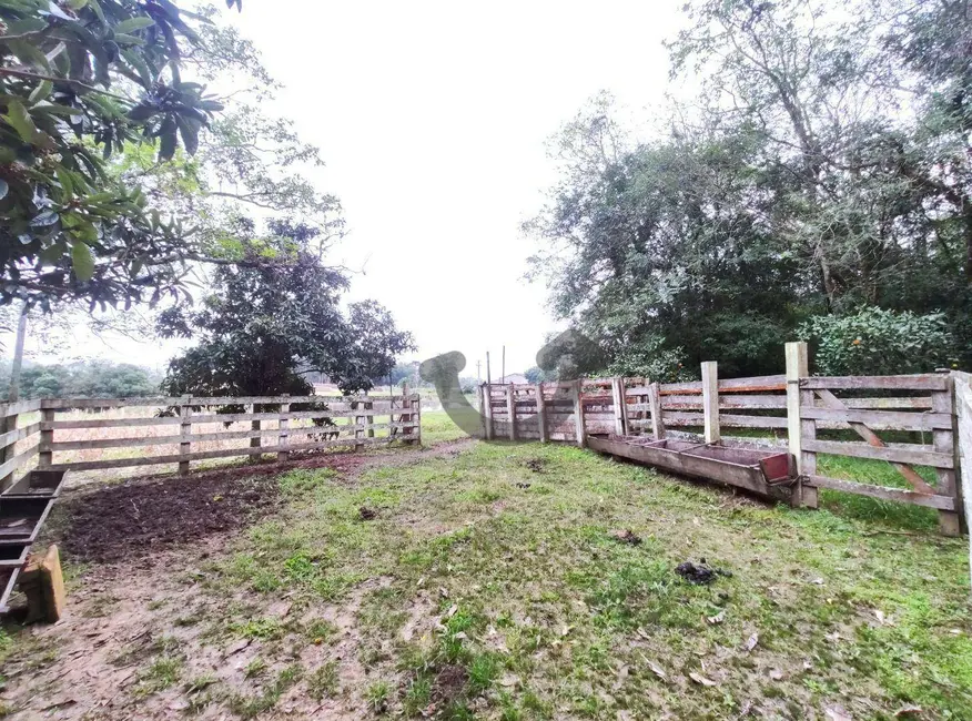 Foto 23 de Chácara com 3 quartos à venda, 75000m2 em Santa Cruz Do Sul - RS