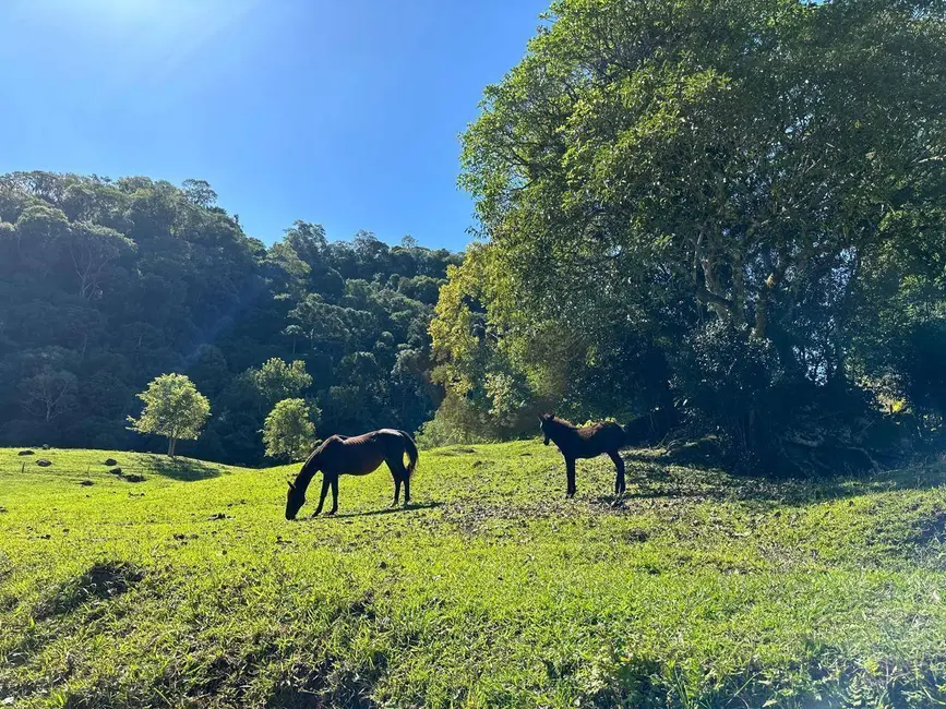 Foto 10 de Chácara à venda, 458720m2 em Sinimbu - RS