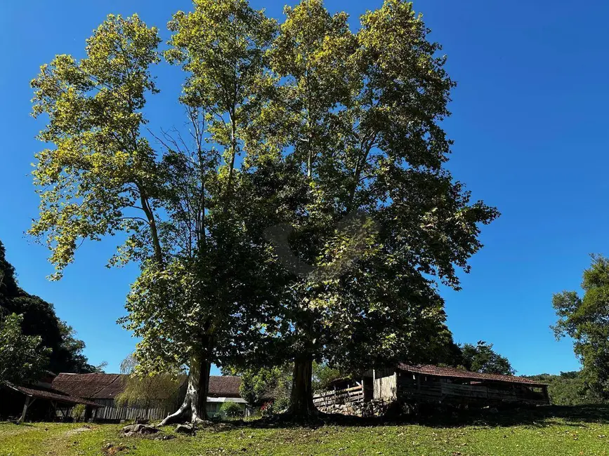 Foto 12 de Chácara à venda, 458720m2 em Sinimbu - RS