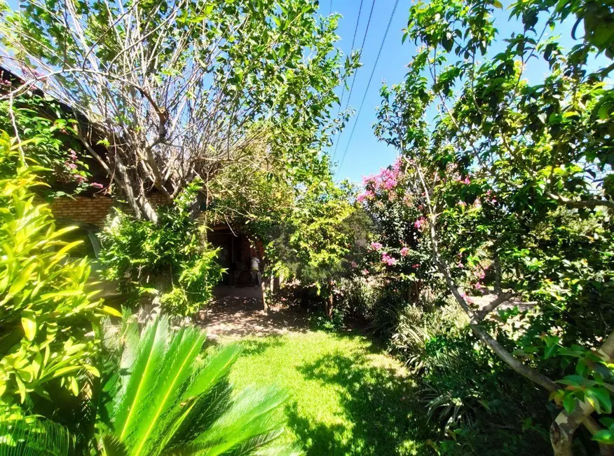 Foto 5 de Chácara com 4 quartos à venda, 65000m2 em Vera Cruz - RS