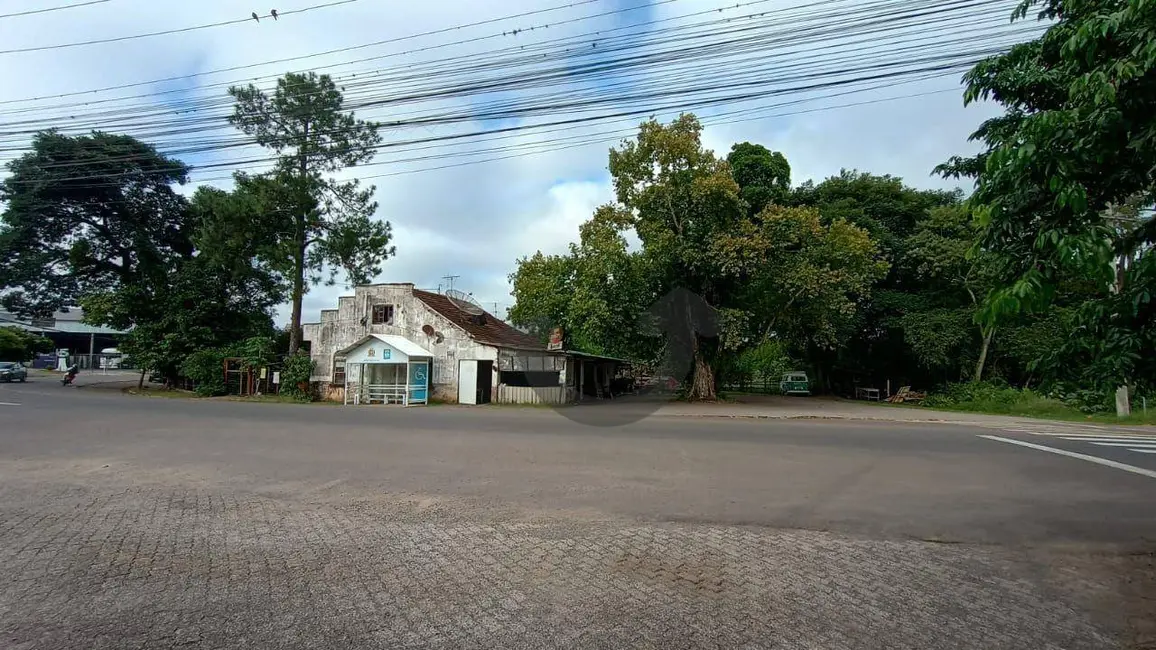 Foto 3 de Terreno / Lote à venda, 2995m2 em Renascença, Santa Cruz Do Sul - RS