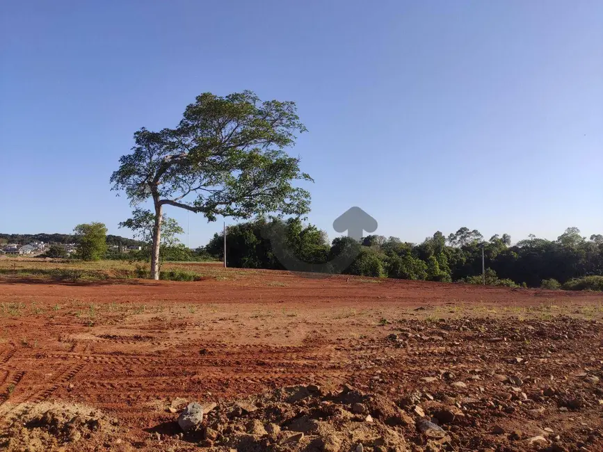 Foto 8 de Terreno / Lote à venda, 300m2 em Linha Santa Cruz, Santa Cruz Do Sul - RS