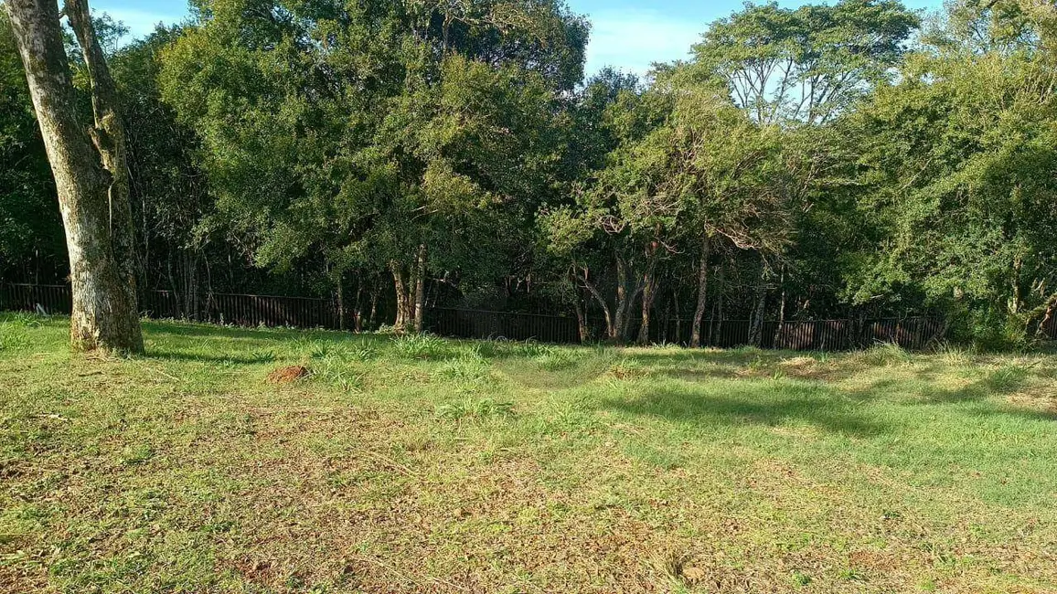 Foto 5 de Terreno / Lote à venda, 765m2 em Jardim Europa, Santa Cruz Do Sul - RS