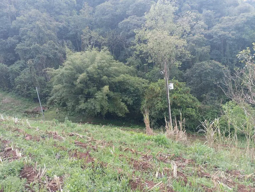 Chácara à venda, 40000m2 em Sinimbu - RS - imagem 7 Foto 7 de Chácara à venda, 40000m2 em Sinimbu - RS