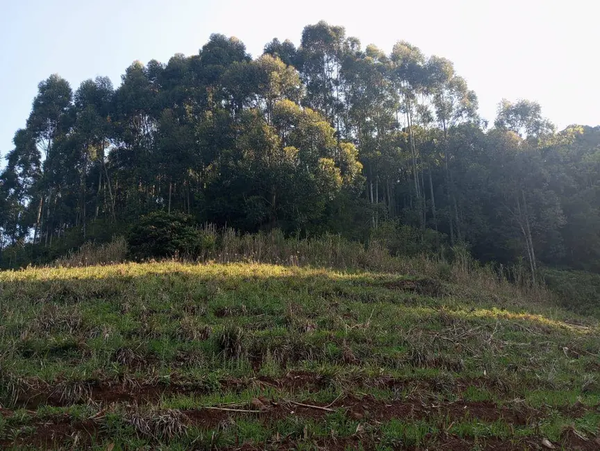 Chácara à venda, 40000m2 em Sinimbu - RS - imagem 6 Foto 6 de Chácara à venda, 40000m2 em Sinimbu - RS