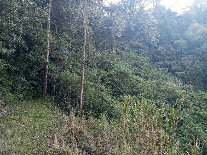 Foto 10 de Chácara à venda, 40000m2 em Sinimbu - RS