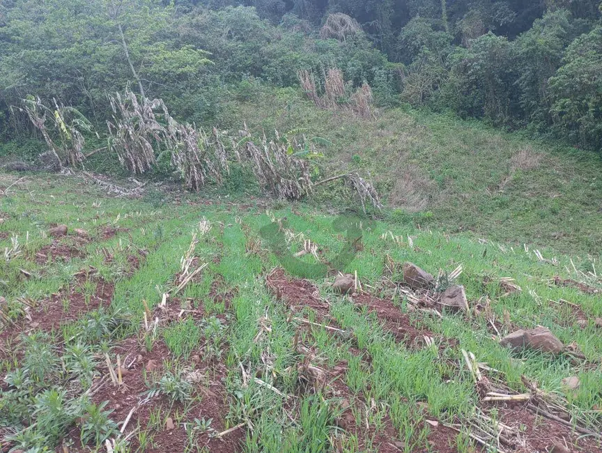 Chácara à venda, 40000m2 em Sinimbu - RS - imagem 4 Foto 4 de Chácara à venda, 40000m2 em Sinimbu - RS