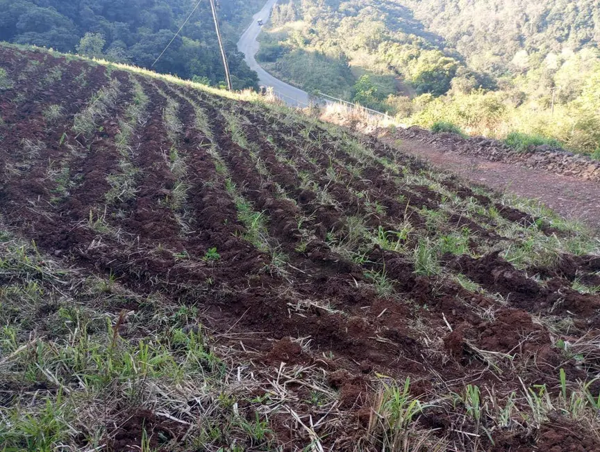 Foto 11 de Chácara à venda, 40000m2 em Sinimbu - RS