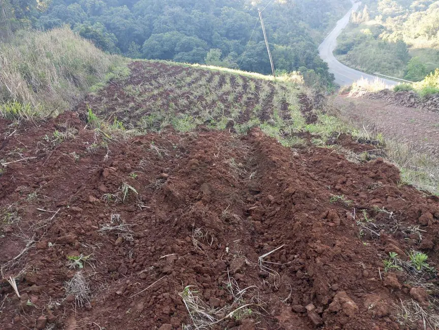 Chácara à venda, 40000m2 em Sinimbu - RS - imagem 8 Foto 8 de Chácara à venda, 40000m2 em Sinimbu - RS