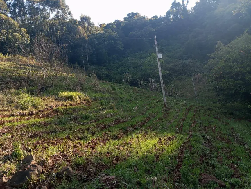 Chácara à venda, 40000m2 em Sinimbu - RS - imagem 3 Foto 3 de Chácara à venda, 40000m2 em Sinimbu - RS