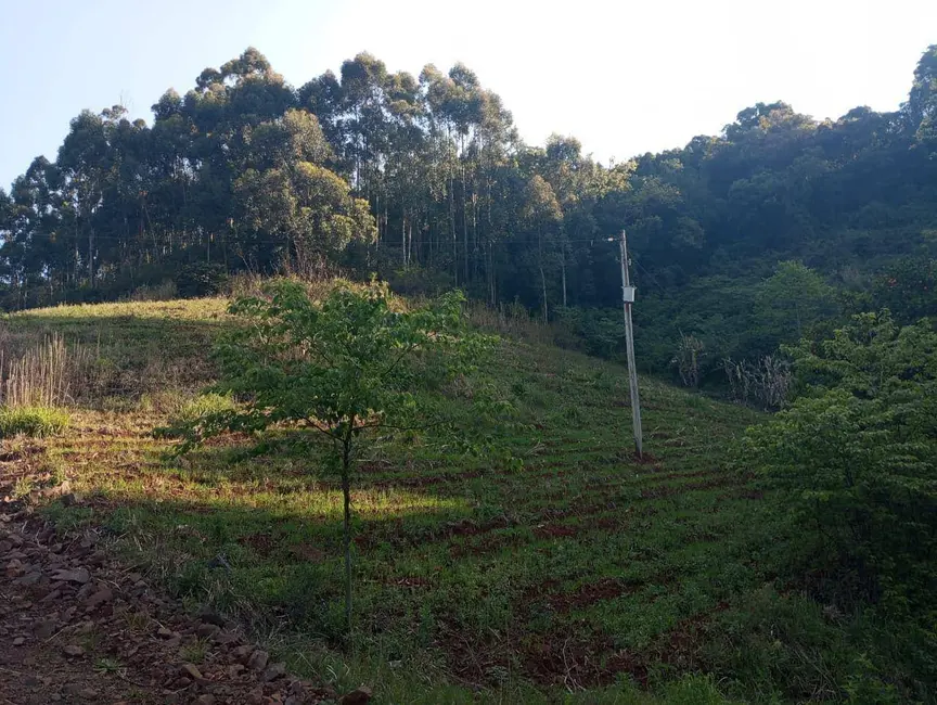 Chácara à venda, 40000m2 em Sinimbu - RS - imagem 2 Foto 2 de Chácara à venda, 40000m2 em Sinimbu - RS