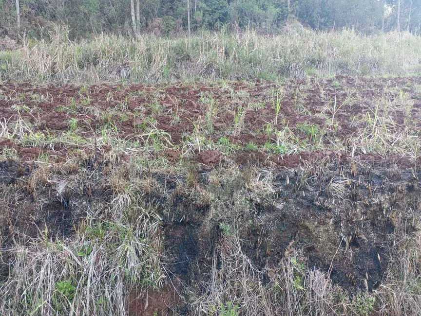 Chácara à venda, 40000m2 em Sinimbu - RS - imagem 9 Foto 9 de Chácara à venda, 40000m2 em Sinimbu - RS