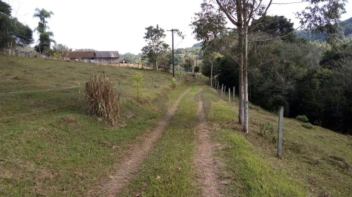 Foto 6 de Chácara à venda, 3200m2 em Santa Cruz Do Sul - RS
